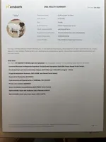 AKC Carter, a male Jack Russell Terrier for sale in Westville, OK – Photo 7 of 7