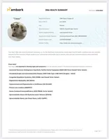 CAPPY, a female Jack Russell Terrier for sale in Westville, OK – Photo 3 of 3