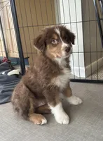 processed/45ee1091-6e54-459e-85d0-f91b8fcc9cc6/listing/136df068-6cbd-4be8-92f9-898bae968470/27e84e8f-7dba-4cc0-ab17-70e74b66ef3b