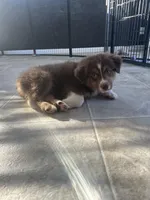 processed/45ee1091-6e54-459e-85d0-f91b8fcc9cc6/listing/136df068-6cbd-4be8-92f9-898bae968470/74513fdb-297a-46d5-b767-41d0a861b0bf