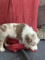 processed/45ee1091-6e54-459e-85d0-f91b8fcc9cc6/listing/2484d15c-64e0-4eed-a546-ceb8e269c097/0de5a377-ef96-48a2-b844-5828262eb6bf