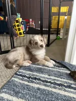 processed/45ee1091-6e54-459e-85d0-f91b8fcc9cc6/listing/2484d15c-64e0-4eed-a546-ceb8e269c097/2b907b2a-3064-416b-a0e4-d947f5cddebc