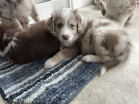 processed/45ee1091-6e54-459e-85d0-f91b8fcc9cc6/listing/2484d15c-64e0-4eed-a546-ceb8e269c097/6bb88dfb-aa05-4f70-a876-7480fa1b2616