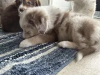 processed/45ee1091-6e54-459e-85d0-f91b8fcc9cc6/listing/2484d15c-64e0-4eed-a546-ceb8e269c097/7a6925ee-4940-4700-92a6-e63f87402e5e