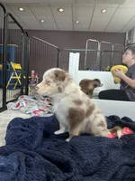 processed/45ee1091-6e54-459e-85d0-f91b8fcc9cc6/listing/2484d15c-64e0-4eed-a546-ceb8e269c097/93e91774-a796-4839-bca1-3fd04401ea99