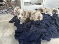 processed/45ee1091-6e54-459e-85d0-f91b8fcc9cc6/listing/2484d15c-64e0-4eed-a546-ceb8e269c097/974693e3-8794-4de7-9df6-e32fab85be7f