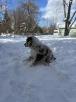 processed/45ee1091-6e54-459e-85d0-f91b8fcc9cc6/listing/2484d15c-64e0-4eed-a546-ceb8e269c097/bfd6c4e2-2f8c-4557-9bdd-26337894fe90