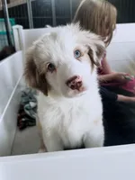 processed/45ee1091-6e54-459e-85d0-f91b8fcc9cc6/listing/36b65e32-a158-4156-a222-f7015229f592/8aea58a4-e8d2-4a18-939b-bc5587c474cc