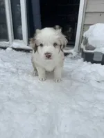 processed/45ee1091-6e54-459e-85d0-f91b8fcc9cc6/listing/36b65e32-a158-4156-a222-f7015229f592/95f37470-fb6d-40e5-bcaf-f6ad311d72df