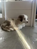 processed/45ee1091-6e54-459e-85d0-f91b8fcc9cc6/listing/36b65e32-a158-4156-a222-f7015229f592/b752b47b-0df4-4bb7-bbfe-c0d5b5cdf009