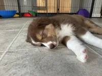 processed/45ee1091-6e54-459e-85d0-f91b8fcc9cc6/listing/f5c703b4-bc48-49f0-9752-2d2ff6367143/468cc471-6ac4-4b7b-861f-fa8c02206361