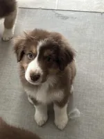 processed/45ee1091-6e54-459e-85d0-f91b8fcc9cc6/listing/f5c703b4-bc48-49f0-9752-2d2ff6367143/710b211a-4c6d-4d68-904c-6bf4cdf58b3d