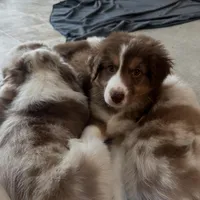 processed/45ee1091-6e54-459e-85d0-f91b8fcc9cc6/listing/f5c703b4-bc48-49f0-9752-2d2ff6367143/add96ffb-62fc-44d7-ab0a-5836dca9daba