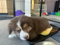 processed/45ee1091-6e54-459e-85d0-f91b8fcc9cc6/listing/f5c703b4-bc48-49f0-9752-2d2ff6367143/b4fec511-a6ff-4e9c-8eb8-9a0e4adac299