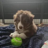 processed/45ee1091-6e54-459e-85d0-f91b8fcc9cc6/listing/f5c703b4-bc48-49f0-9752-2d2ff6367143/bd02a379-1cb9-41fa-ad55-17d8b0a6eae7