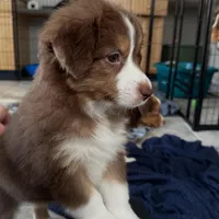 processed/45ee1091-6e54-459e-85d0-f91b8fcc9cc6/listing/f5c703b4-bc48-49f0-9752-2d2ff6367143/e046abd4-32af-4548-820e-d89e9fa6df19