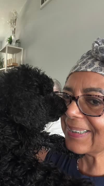 Bella, a female Poodle - Standard  for sale in Oxon Hill, MD – 9 of 10