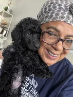 Bella, a female Poodle - Standard  for sale in Oxon Hill, MD – 5 of 10