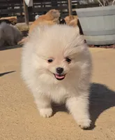 processed/45f0a15a-c886-496a-99a6-c04be58cb8fb/listing/ef3be2a1-5356-4f2c-9269-01c626777bc0/42f6149e-da15-461f-b310-80c6d099f83c