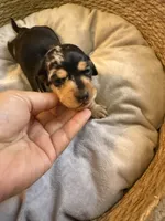 processed/45f6c207-cd82-416d-acc2-2993cd0ff73c/listing/42516ad1-ad6b-4980-8dac-318d5b3be0e2/3490df76-2dc3-47bd-9adc-3001ee38c3a2