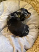 processed/45f6c207-cd82-416d-acc2-2993cd0ff73c/listing/42516ad1-ad6b-4980-8dac-318d5b3be0e2/4b80cb89-294e-4a5d-9ab6-6e351aed9777