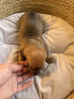 processed/45f6c207-cd82-416d-acc2-2993cd0ff73c/listing/a230a0f6-b36c-4e9c-b868-18319ddd869a/555f0329-3c91-48e3-b157-b24f886c14a2