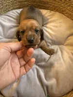 processed/45f6c207-cd82-416d-acc2-2993cd0ff73c/listing/a230a0f6-b36c-4e9c-b868-18319ddd869a/a17069ee-5466-4db8-a7e2-7d123b6d9249