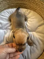 processed/45f6c207-cd82-416d-acc2-2993cd0ff73c/listing/a230a0f6-b36c-4e9c-b868-18319ddd869a/e64ad428-6553-4fcc-a91a-ecc344026353