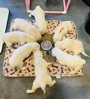 Facility photo