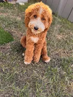 processed/45fdec8d-9de8-456a-9aff-3612aeda1e35/listing/781049b9-cd05-41ba-b374-563808414adb/1545c23e-ffab-4cc7-b421-74c583d73e94