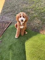 processed/45fdec8d-9de8-456a-9aff-3612aeda1e35/listing/781049b9-cd05-41ba-b374-563808414adb/47d35829-6b16-4cb8-8d0c-3c3c673541fa