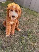 processed/45fdec8d-9de8-456a-9aff-3612aeda1e35/listing/781049b9-cd05-41ba-b374-563808414adb/615f000a-14ae-4327-898c-fafb75bb46ba