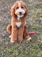 processed/45fdec8d-9de8-456a-9aff-3612aeda1e35/listing/781049b9-cd05-41ba-b374-563808414adb/729e034f-4124-47e2-af43-5fcdb5aaa012