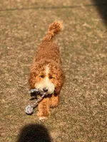 processed/45fdec8d-9de8-456a-9aff-3612aeda1e35/listing/781049b9-cd05-41ba-b374-563808414adb/731999e4-0d4b-42a6-a2f3-910f3bf2e86d