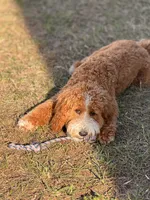 processed/45fdec8d-9de8-456a-9aff-3612aeda1e35/listing/781049b9-cd05-41ba-b374-563808414adb/ae2b16bf-343d-491f-85ab-9efd7edbdf4b