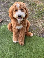 processed/45fdec8d-9de8-456a-9aff-3612aeda1e35/listing/781049b9-cd05-41ba-b374-563808414adb/b9129a51-26ee-4740-ae61-30fb7e90deb6