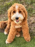 processed/45fdec8d-9de8-456a-9aff-3612aeda1e35/listing/781049b9-cd05-41ba-b374-563808414adb/c4705027-999b-4125-8304-9d087b1a9b5f