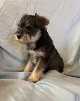 processed/46040935-9945-4040-84f6-1955916a6a5e/listing/e79f3565-fff4-41a9-bd99-dd76d4f91138/bff547bd-f104-40ee-922e-a465523d1d10