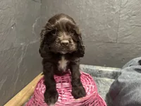 processed/460a9d35-d76f-407e-a50e-0be859d61cc8/listing/382100d5-8f36-4122-88cd-fd818c8237a1/47c6bd03-0487-4fbd-897a-82e5bced66fd