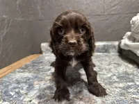 processed/460a9d35-d76f-407e-a50e-0be859d61cc8/listing/382100d5-8f36-4122-88cd-fd818c8237a1/d8942cef-ed34-41b6-acdd-fe2678842b5f