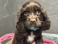 processed/460a9d35-d76f-407e-a50e-0be859d61cc8/listing/382100d5-8f36-4122-88cd-fd818c8237a1/ea58b239-eba5-4c6a-aba5-b6c6cc8195aa