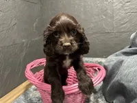 processed/460a9d35-d76f-407e-a50e-0be859d61cc8/listing/382100d5-8f36-4122-88cd-fd818c8237a1/fc529de0-d767-406e-815f-341f2851eec1