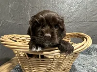 processed/460a9d35-d76f-407e-a50e-0be859d61cc8/listing/382100d5-8f36-4122-88cd-fd818c8237a1/fc94bca7-670f-4ca5-beaf-bece68c81037