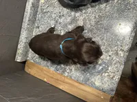 processed/460a9d35-d76f-407e-a50e-0be859d61cc8/listing/382100d5-8f36-4122-88cd-fd818c8237a1/fcd06b6e-72ee-473c-a4ef-469a4c151b56