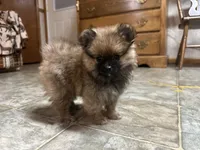 processed/460a9d35-d76f-407e-a50e-0be859d61cc8/listing/4457dc14-94db-40c5-b0f9-7aa23326ef45/0a7081d5-c0c6-45b9-8022-08a8ffd83761