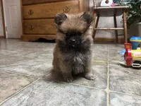 processed/460a9d35-d76f-407e-a50e-0be859d61cc8/listing/4457dc14-94db-40c5-b0f9-7aa23326ef45/1f9163c9-295a-4ad6-a407-e8abda2e366b