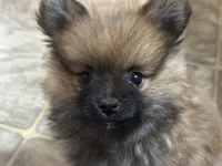 processed/460a9d35-d76f-407e-a50e-0be859d61cc8/listing/4457dc14-94db-40c5-b0f9-7aa23326ef45/3c6bd1b0-d17e-47bd-9124-c658dbc3bcba