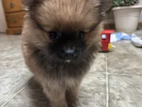 processed/460a9d35-d76f-407e-a50e-0be859d61cc8/listing/4457dc14-94db-40c5-b0f9-7aa23326ef45/80d5b65d-655a-4e62-80e8-9470cc3a2e86