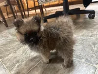 processed/460a9d35-d76f-407e-a50e-0be859d61cc8/listing/4457dc14-94db-40c5-b0f9-7aa23326ef45/8ada1ac2-5973-41a0-8042-f504e7f3a557