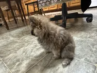 processed/460a9d35-d76f-407e-a50e-0be859d61cc8/listing/4457dc14-94db-40c5-b0f9-7aa23326ef45/e621c2cd-baee-4c14-abe2-dffc6cfc5cc9